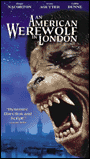 American Werewolf In London Halloween Movie 1981