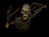 Skeleton Halloween Background Wallpaper