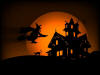Halloween Witch Desktop Background Wallpaper